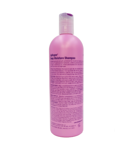 Aphogee Deep Moisture Shampoo, 16 oz